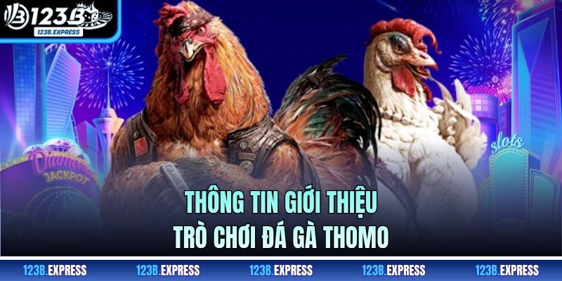 Thông tin giới thiệu trò chơi đá gà Thomo